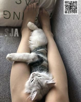 抽插骚逼动态视频_剧情片高清电影在线